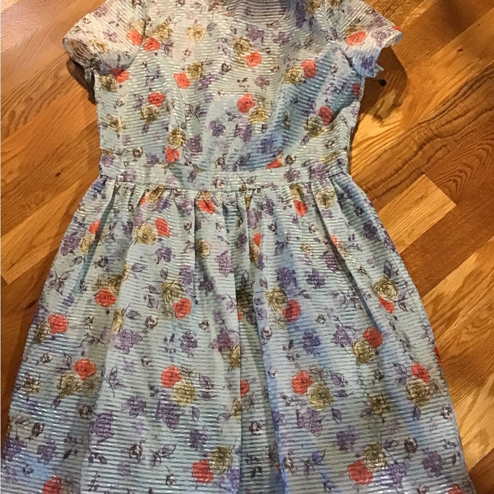 Women’s NWT size 16 Gabby Skye dress